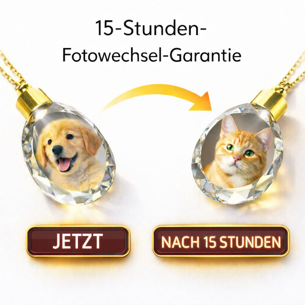 Sorgenfreie 15-Stunden-Fotowechsel-Garantie