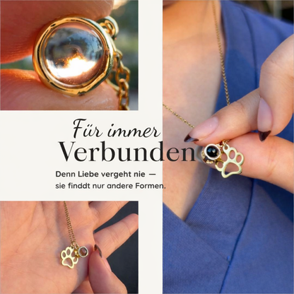 Das Eternal Bond Projektionsketten-Erlebnis
